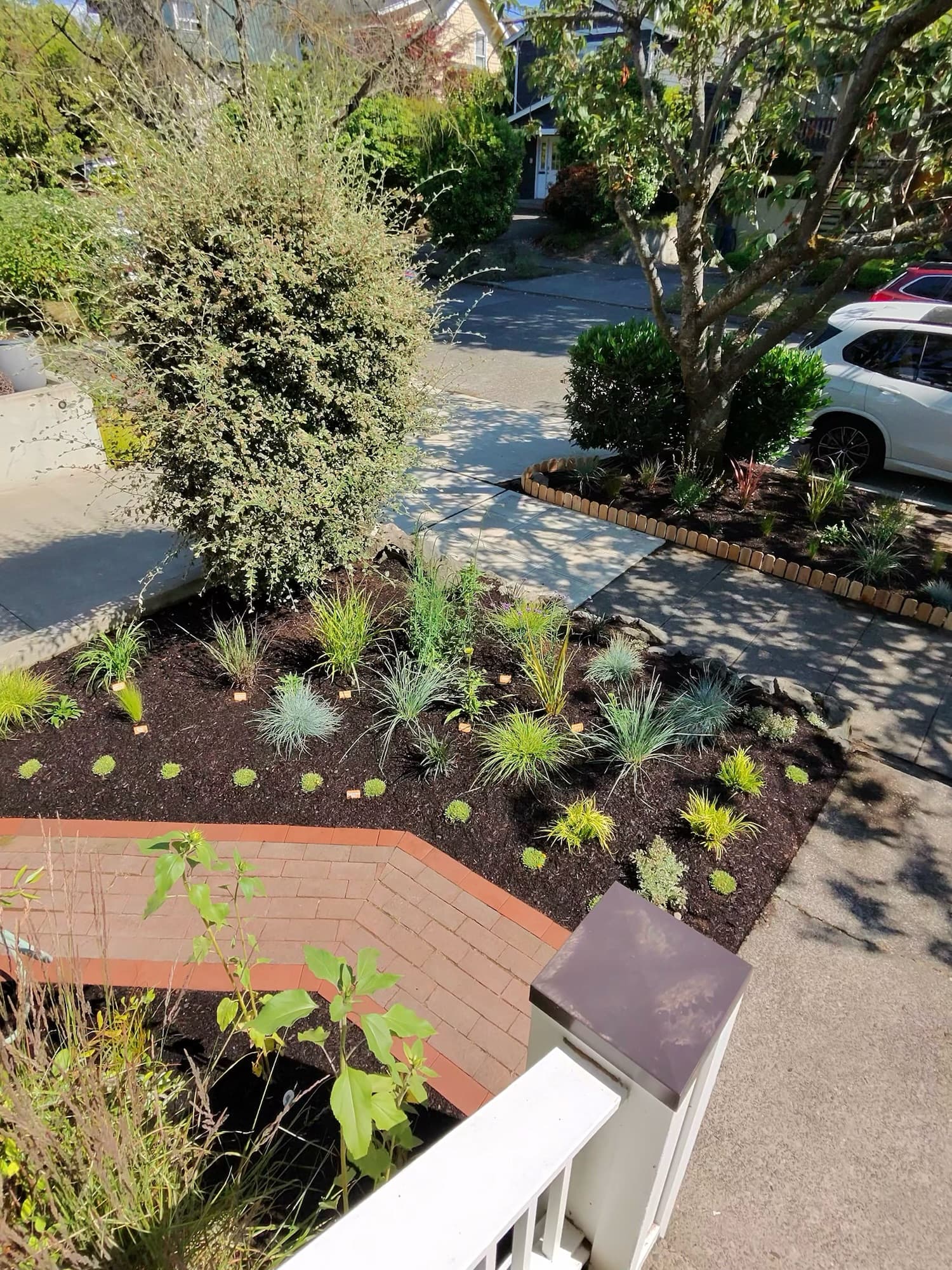 A front-of-property planting bed with native grasses and shrubs set into dark mulch behind a brick edge.