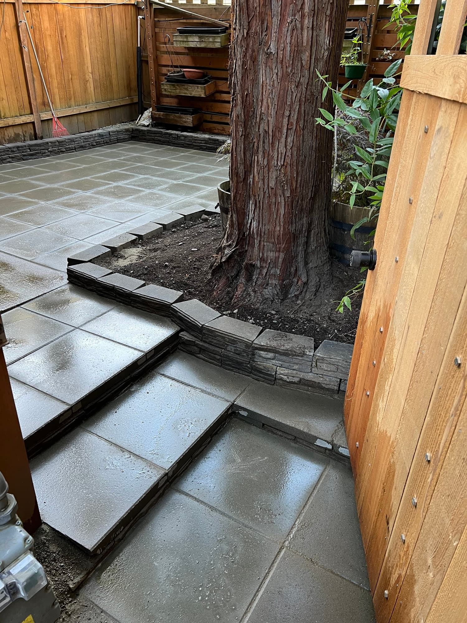 A stone paver patio set carefully around a mature tree, bounded by a new cedar fence.